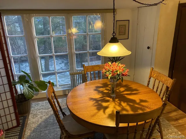 a dining room with furniture a rug and a potted plant