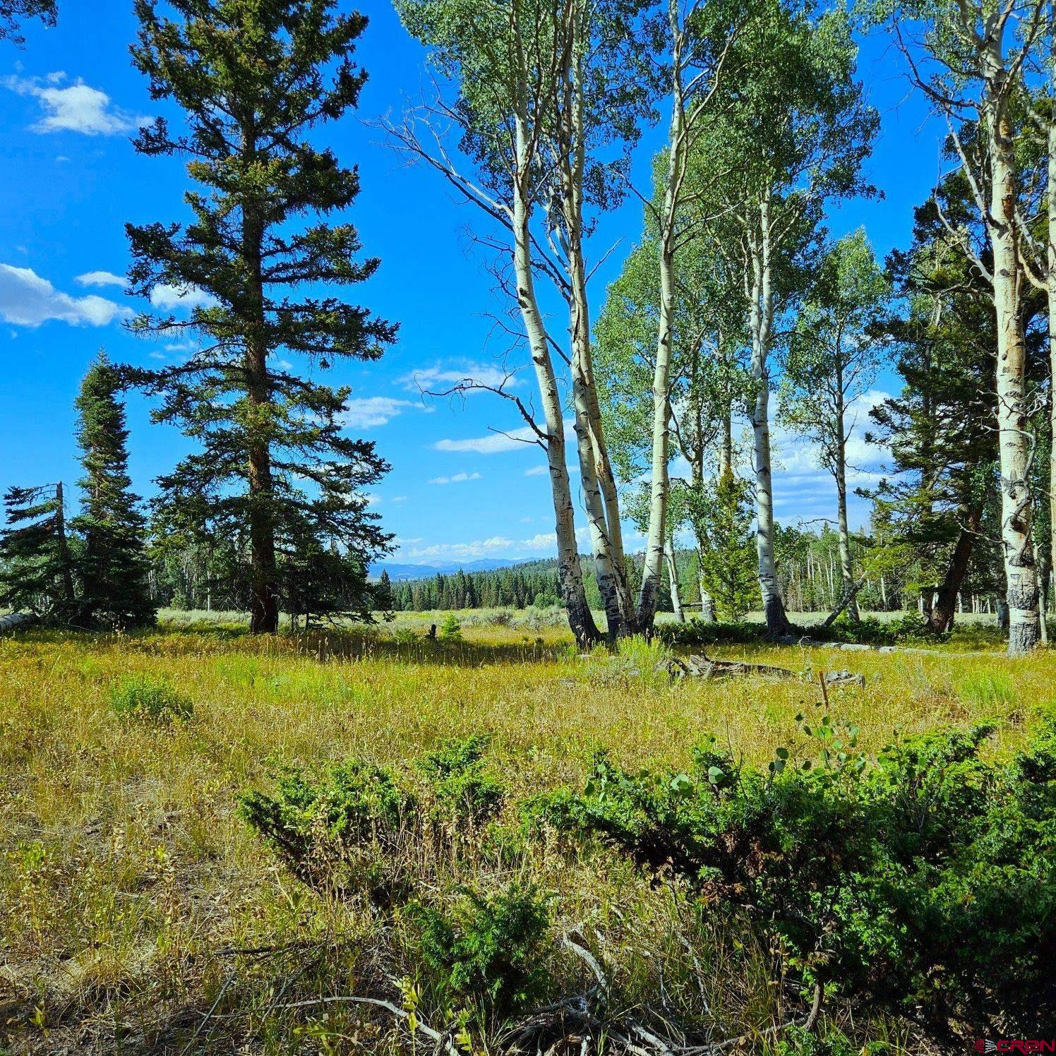 284 Aspen Trail Cimarron, CO 81220 - Photo 3 of 9 a view of a field with a tree