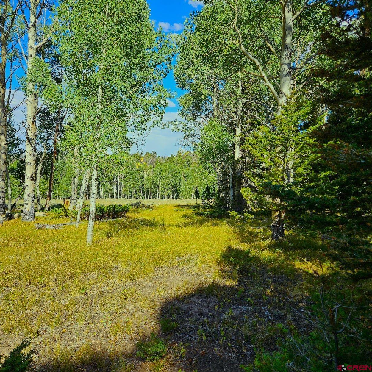 284 Aspen Trail Cimarron, CO 81220 - Photo 5 of 9 a view of an ocean beach