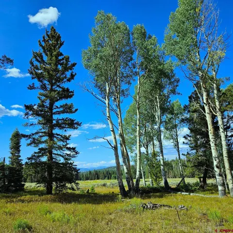 a view of a yard with a fountain