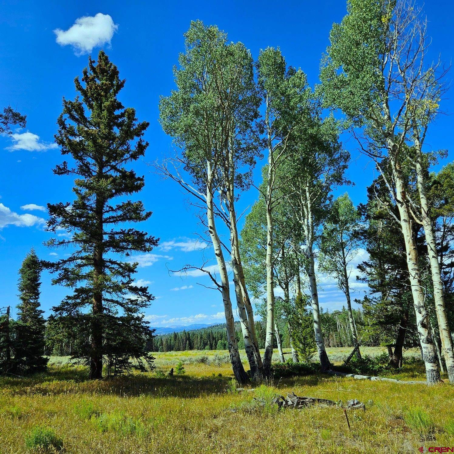 284 Aspen Trail Cimarron, CO 81220 - Photo 6 of 9 a view of a yard with a fountain