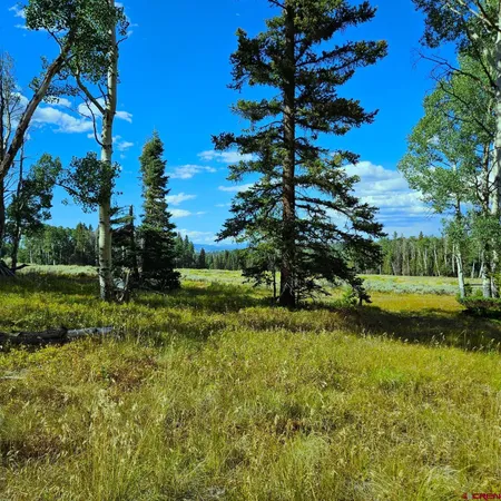 a view of a garden with a lake