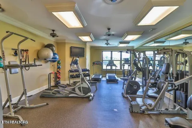 $2,950 | 445 West Blount Avenue, Unit 102, Knoxville, TN 37920