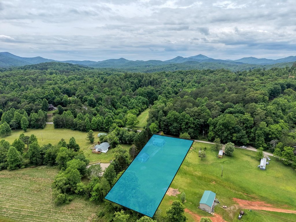233 Messer Road Warne, NC 28909 - Photo 47 of 47