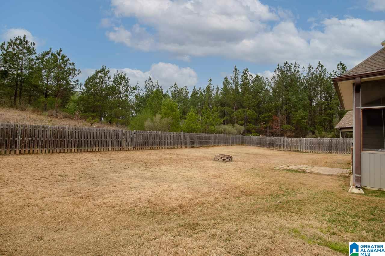 3044 Springfield Circle Chelsea, AL 35043 - Photo 29 of 37