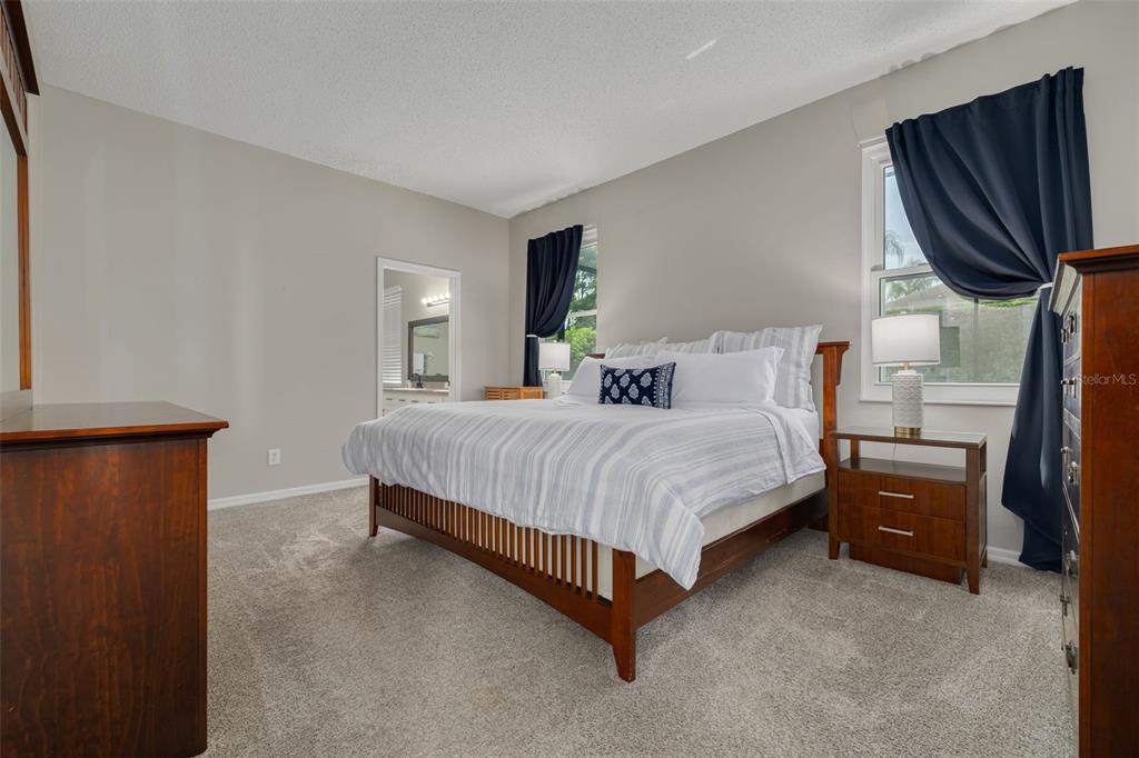 10632 Firebrick Court Trinity, FL 34655 - Photo 17 of 45