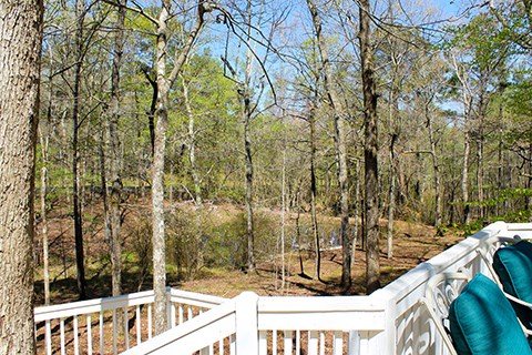 2353 County Line Church Road Warm Springs, GA 31830 - Photo 14 of 46 Gallery Image 14