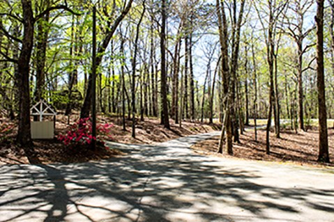2353 County Line Church Road Warm Springs, GA 31830 - Photo 6 of 46 Gallery Image 6