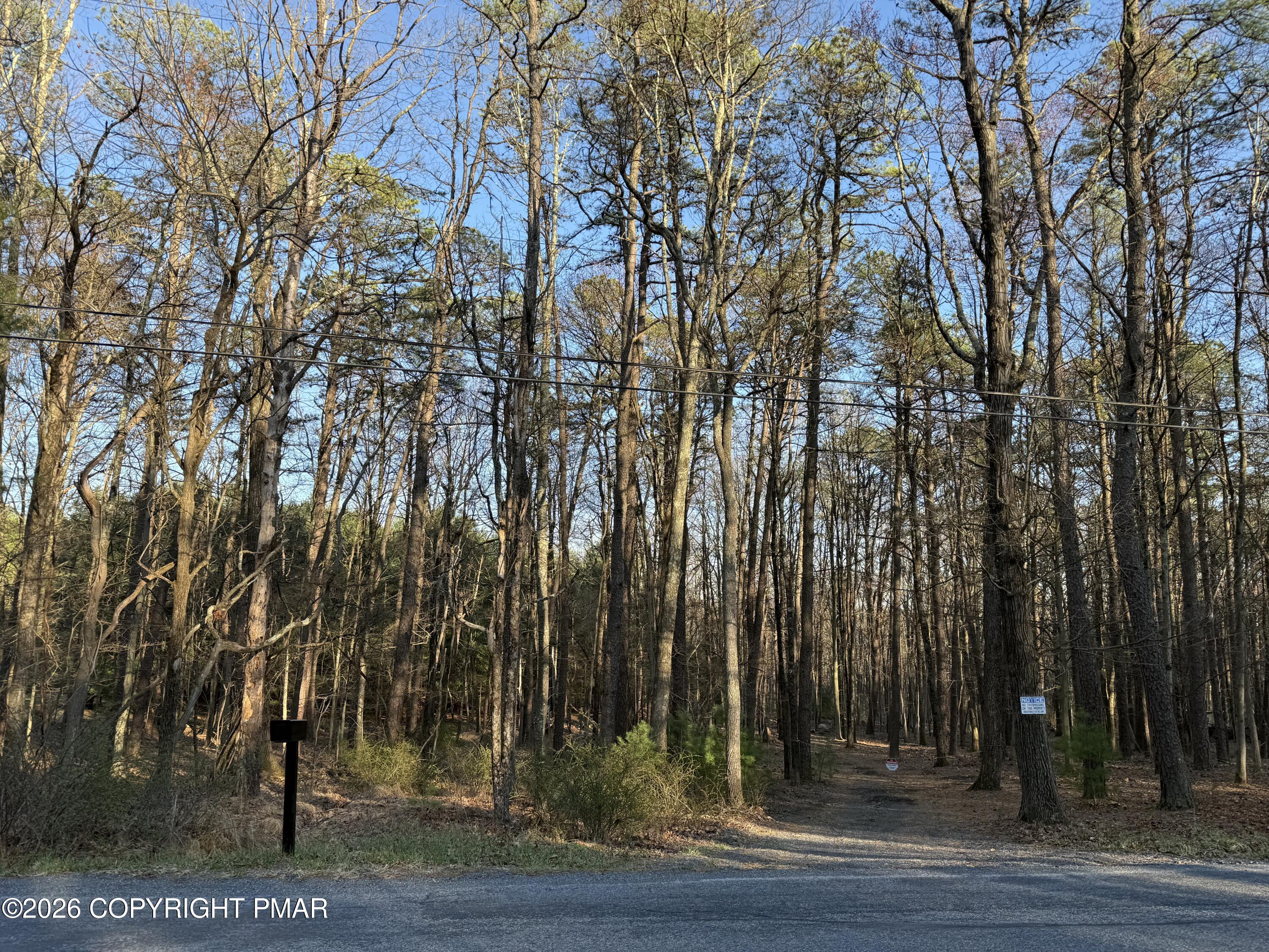 2 Twin Pine Road Stroudsburg, PA 18360 - Photo 2 of 10 a view of outdoor space with trees