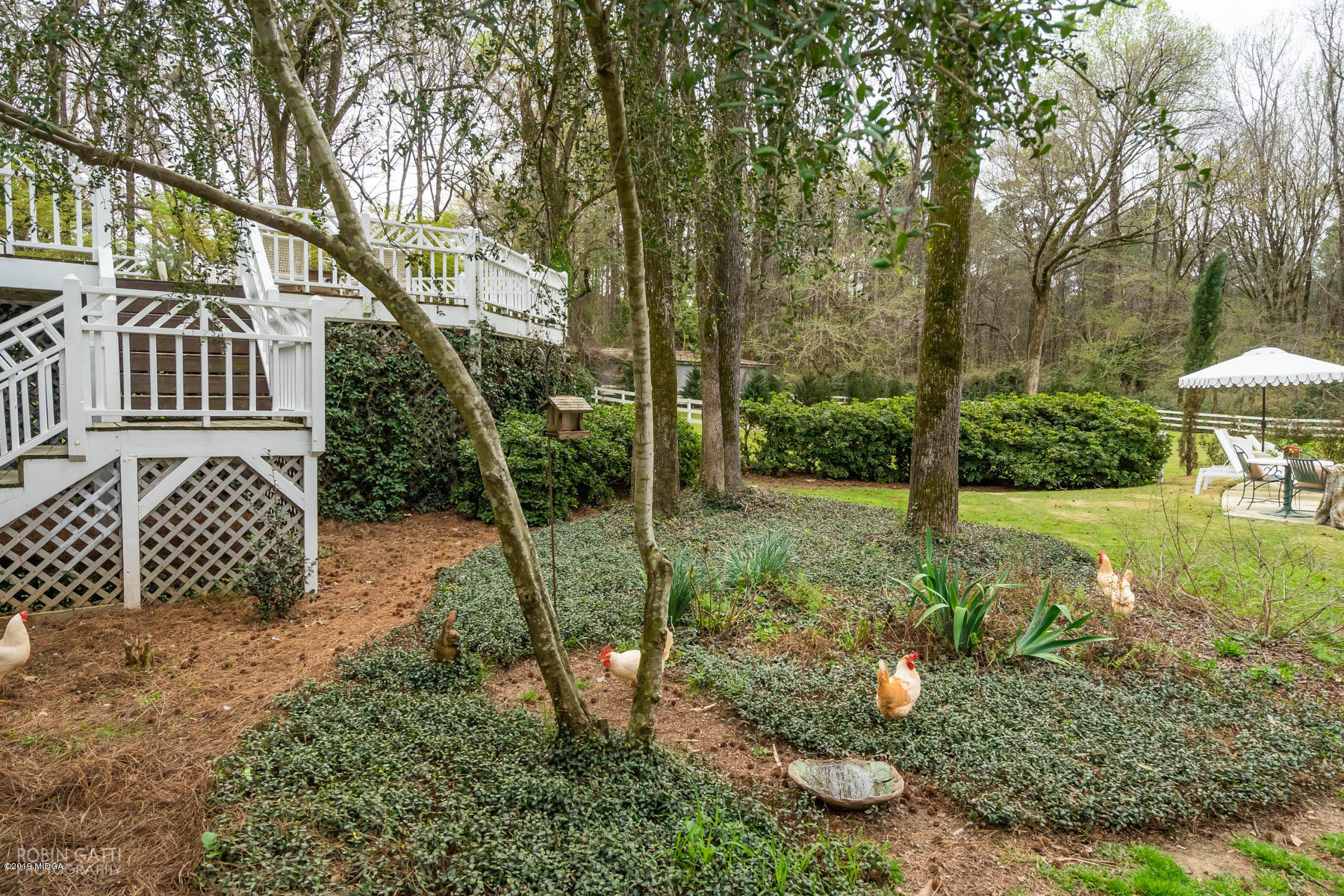 6150 Old Forsyth Road Macon, GA 31210 - Photo 13 of 50 a view of a backyard with garden