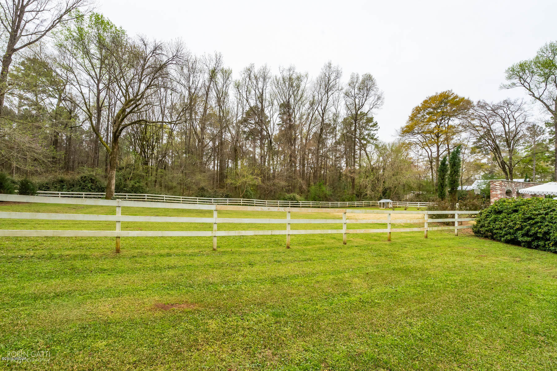 6150 Old Forsyth Road Macon, GA 31210 - Photo 20 of 50 a view of a swimming pool with a yard and palm trees