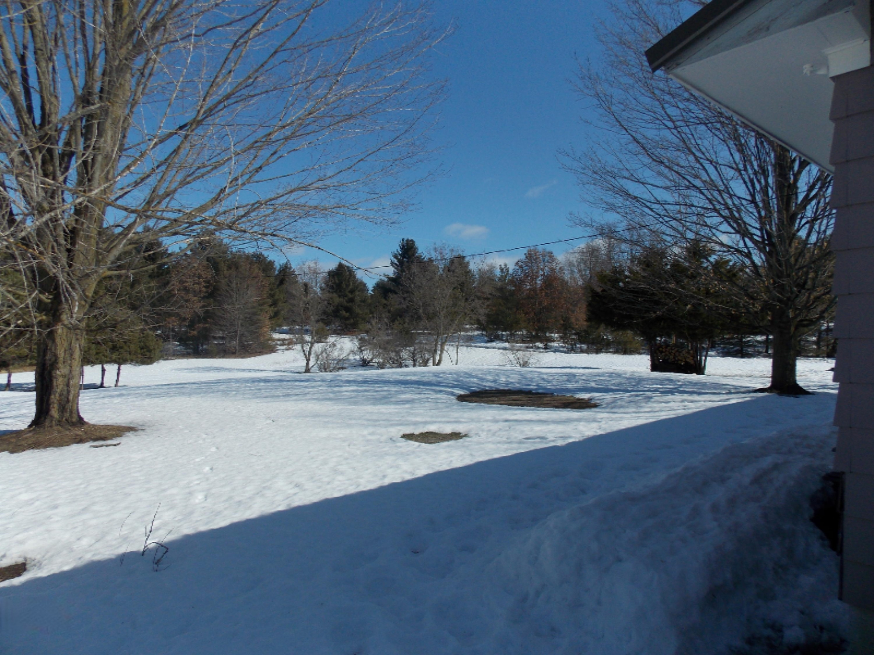 8758 7 Mile Road Evart, MI 49631 - Photo 7 of 56 DSCN4916