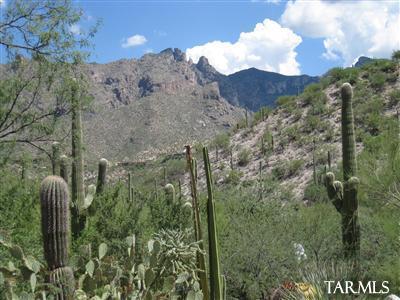 6870 North Cascade Spring Place Tucson, AZ 85718 - Photo 17 of 22