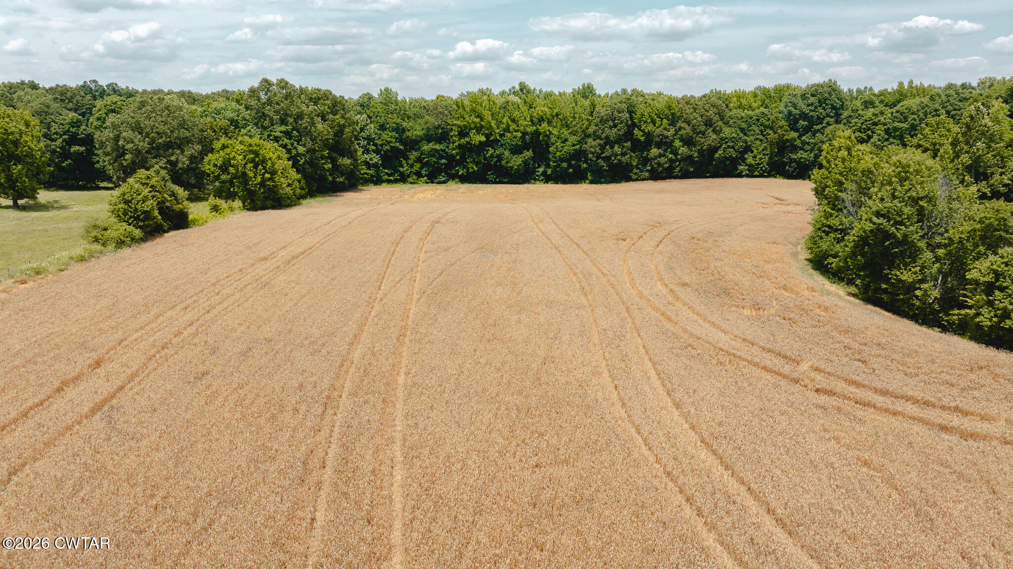 0 Will Young Road Greenfield, TN 38230 - Photo 15 of 17 DJI_20260602204216_0018_D
