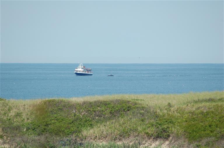 100 South Pamet Road Truro, MA 02666 - Photo 32 of 35 Additional Photo