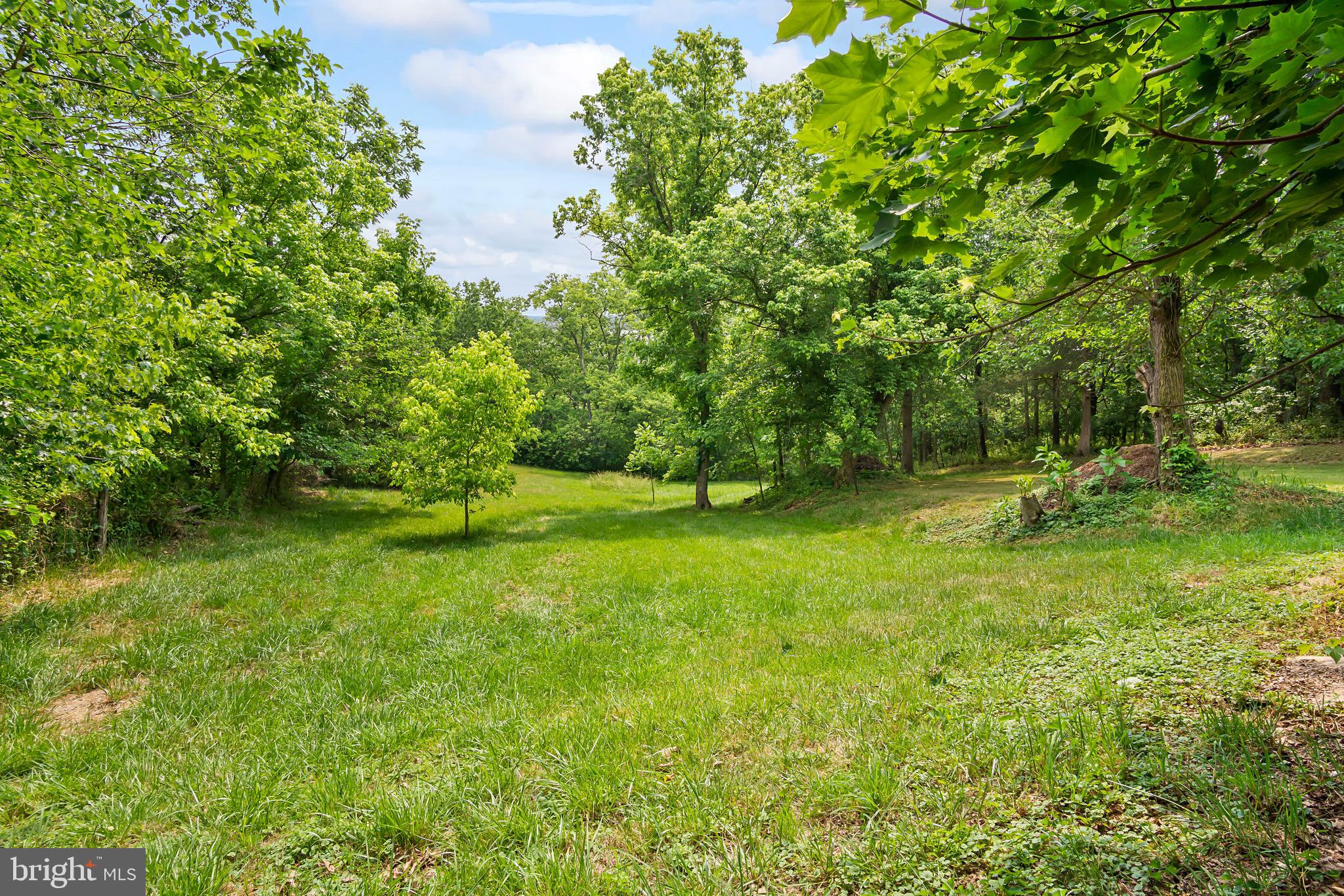 16923 Shinham Road Hagerstown, MD 21740 - Photo 15 of 42 Back yard; so much privacy