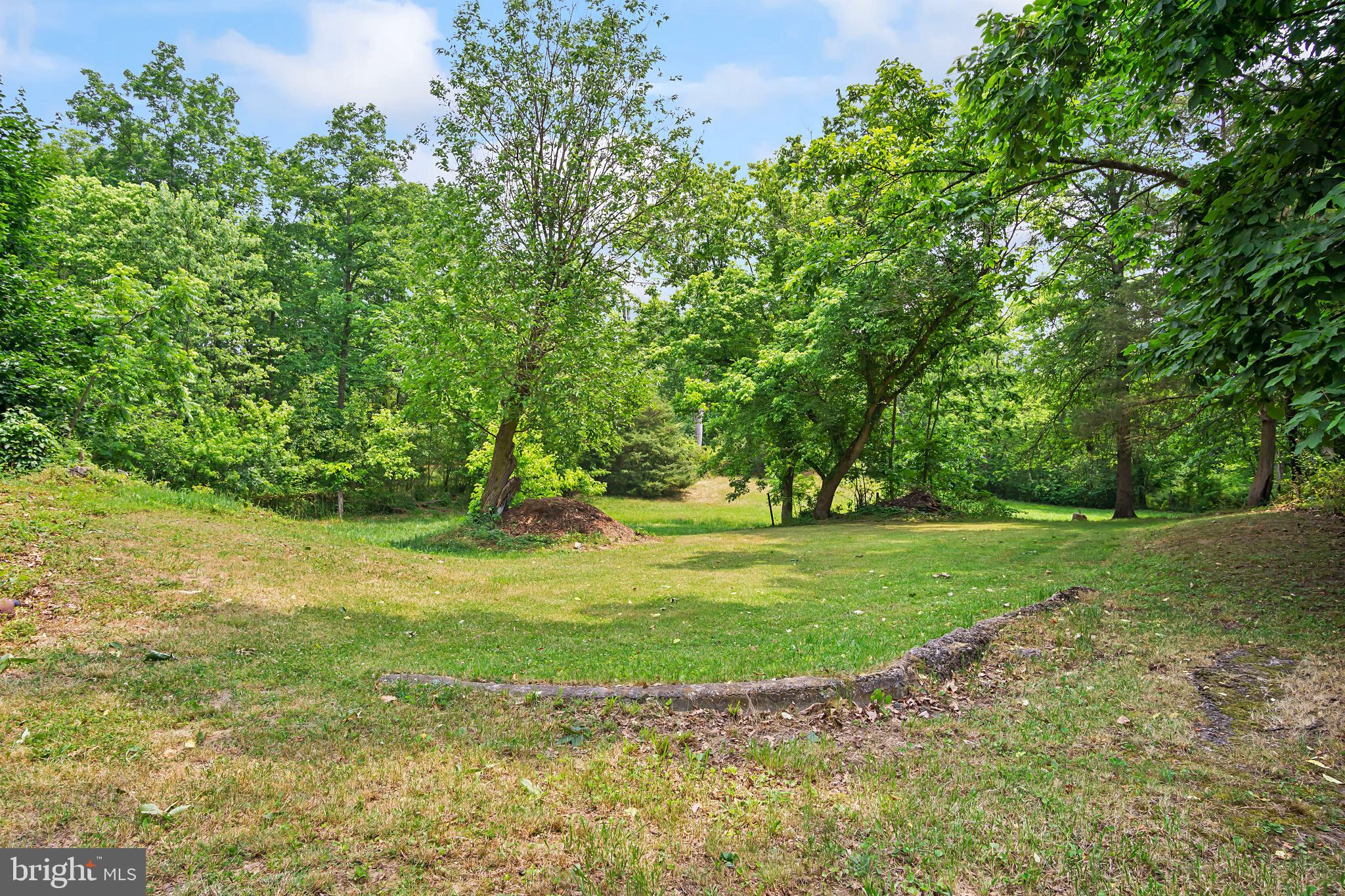 16923 Shinham Road Hagerstown, MD 21740 - Photo 17 of 42 Back yard view