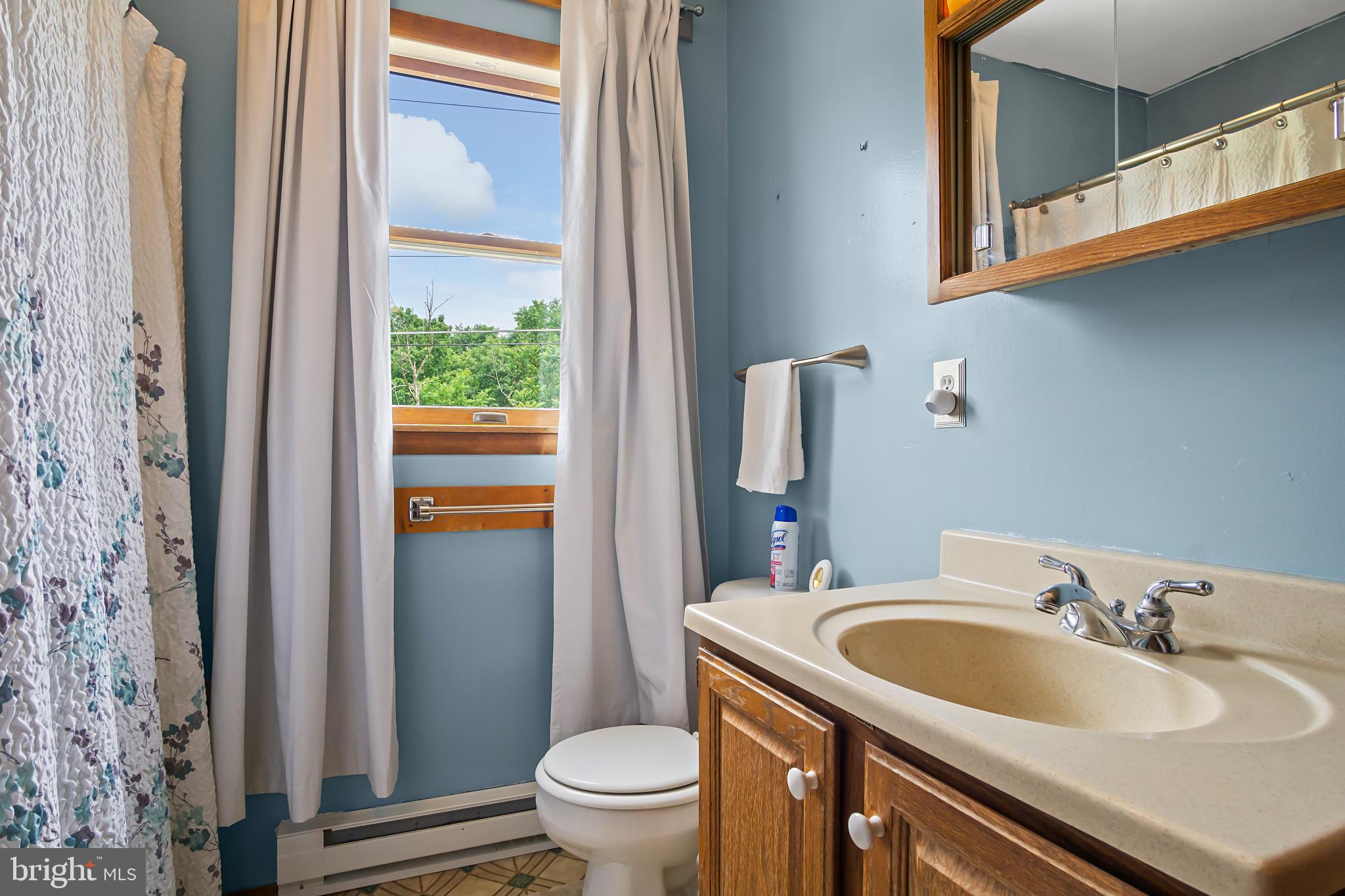 16923 Shinham Road Hagerstown, MD 21740 - Photo 30 of 42 Bath