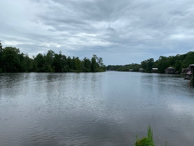 14235 County Road 9 Foley, AL 36535 - Photo 2 of 43