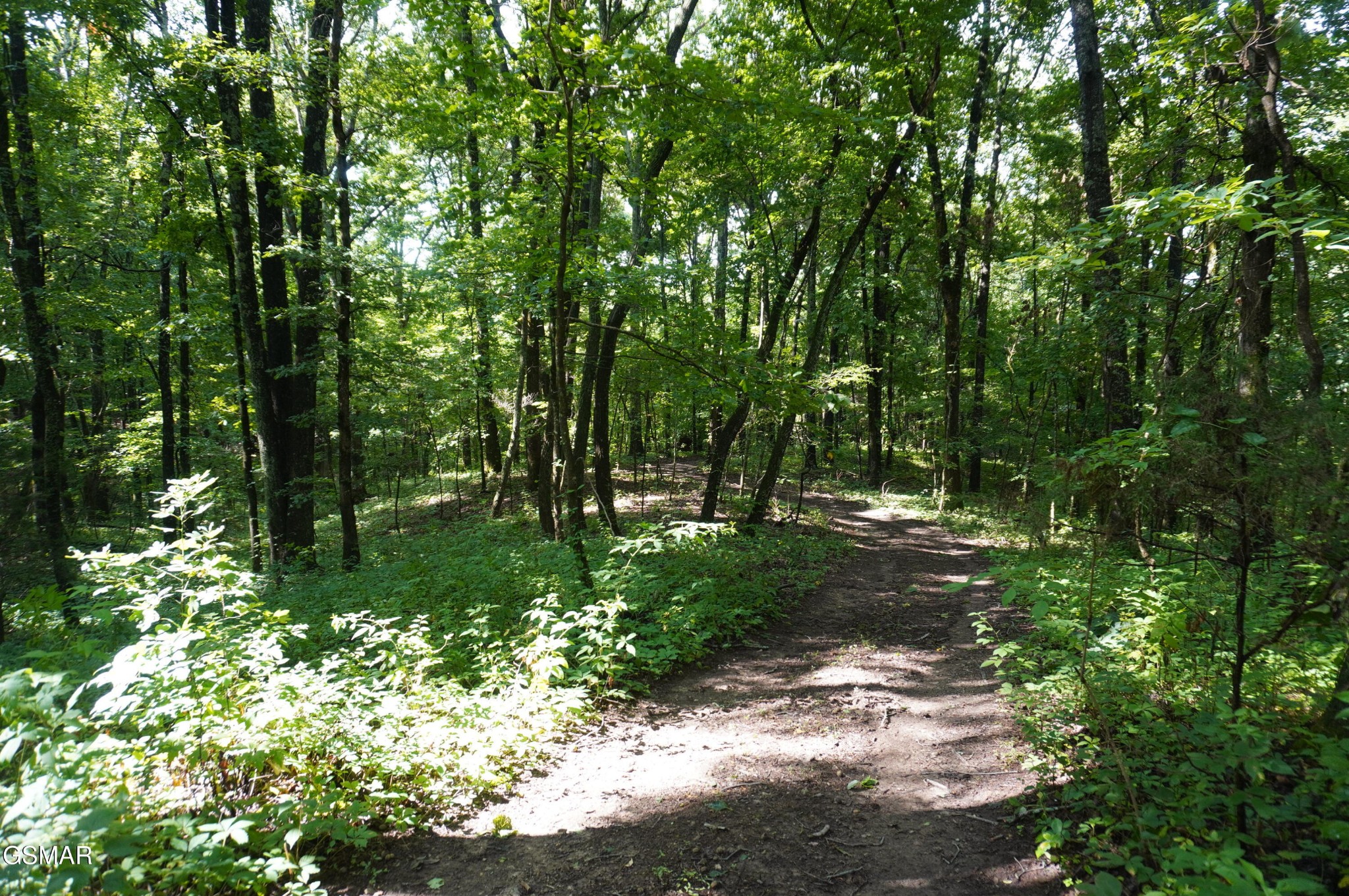 17 Pleasant View Cemetery Road New Market, TN 37820 - Photo 22 of 65 Gallery Image 22