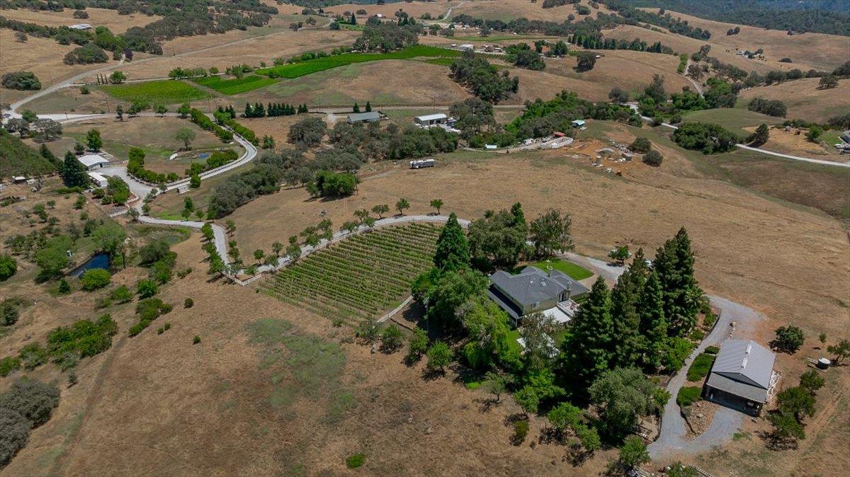 6000 Salmon Falls Road Pilot Hill, CA 95664 - Photo 3 of 96