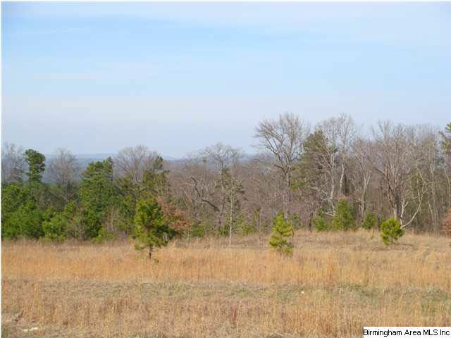 Pine Mountain Road, Unit 7 Springville, AL 35146 - Photo 5 of 11 Gallery Image 5
