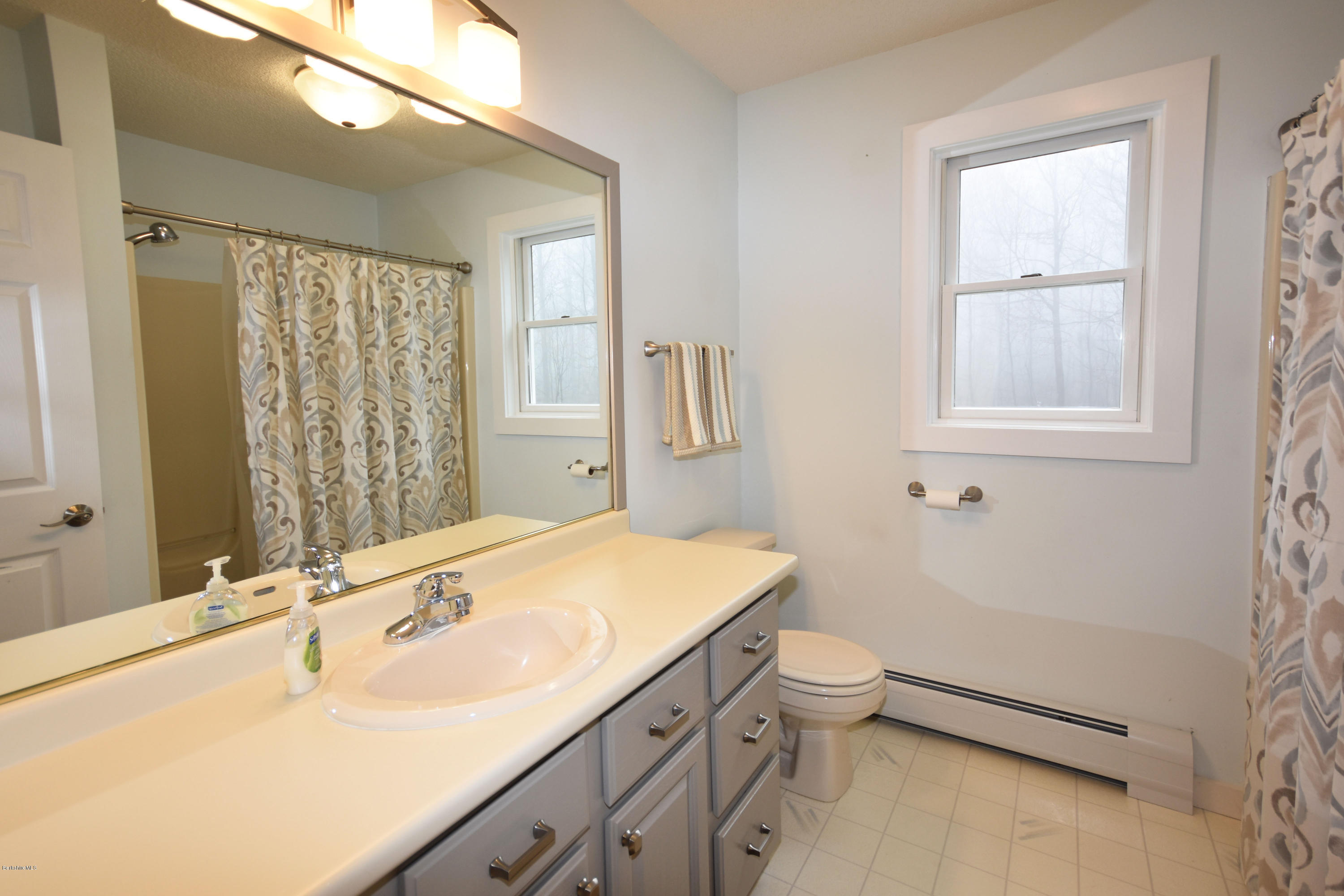 1246 Jacobs Ladder Road Becket, MA 01223 - Photo 36 of 54 a bathroom with a sink a toilet and shower