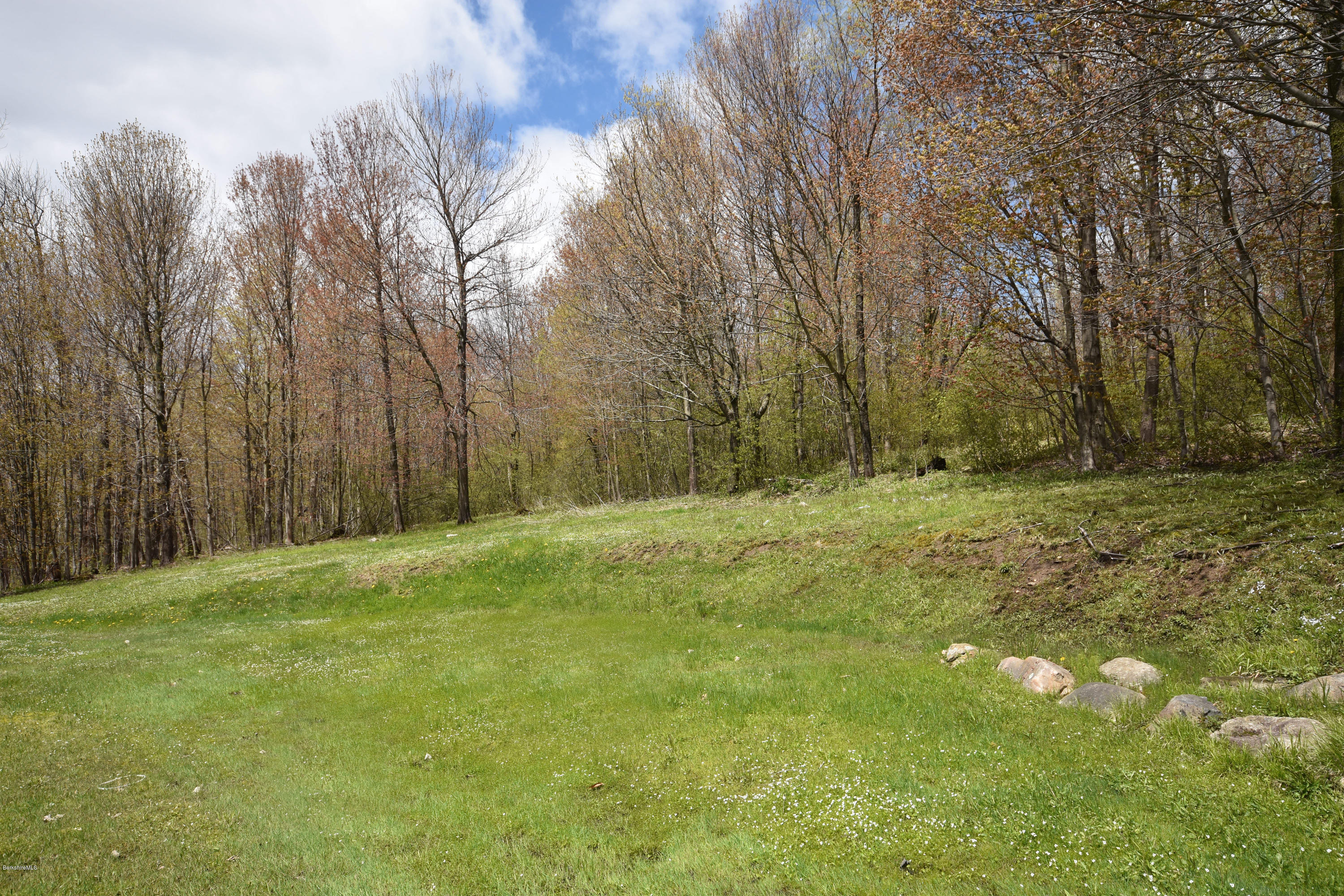 1246 Jacobs Ladder Road Becket, MA 01223 - Photo 53 of 54 a view of a yard with trees