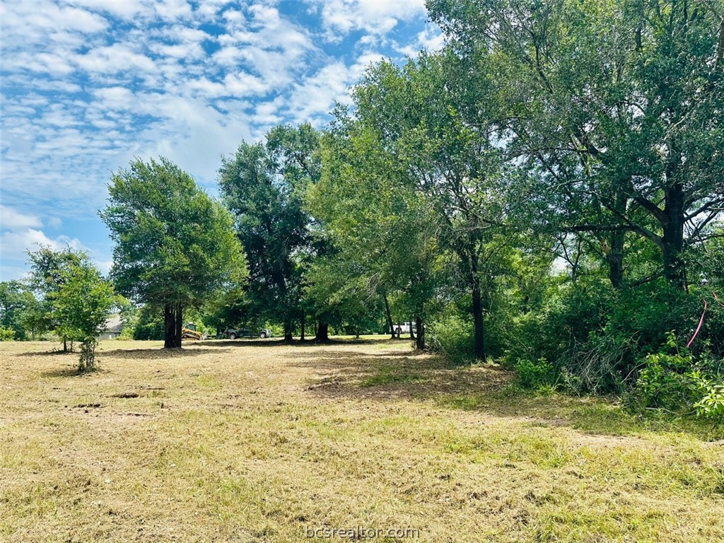 9805 Durham Road Iola, TX 77861 - Photo 7 of 19
