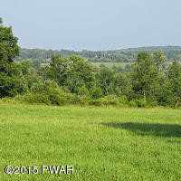 Ayoub Road Pleasant Mount, PA 18453 - Photo 7 of 8