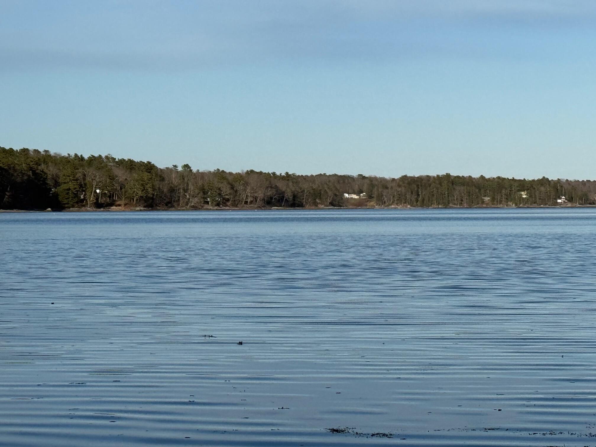 16 A Newbury Neck Road Surry, ME 04684 - Photo 13 of 19 IMG_3315