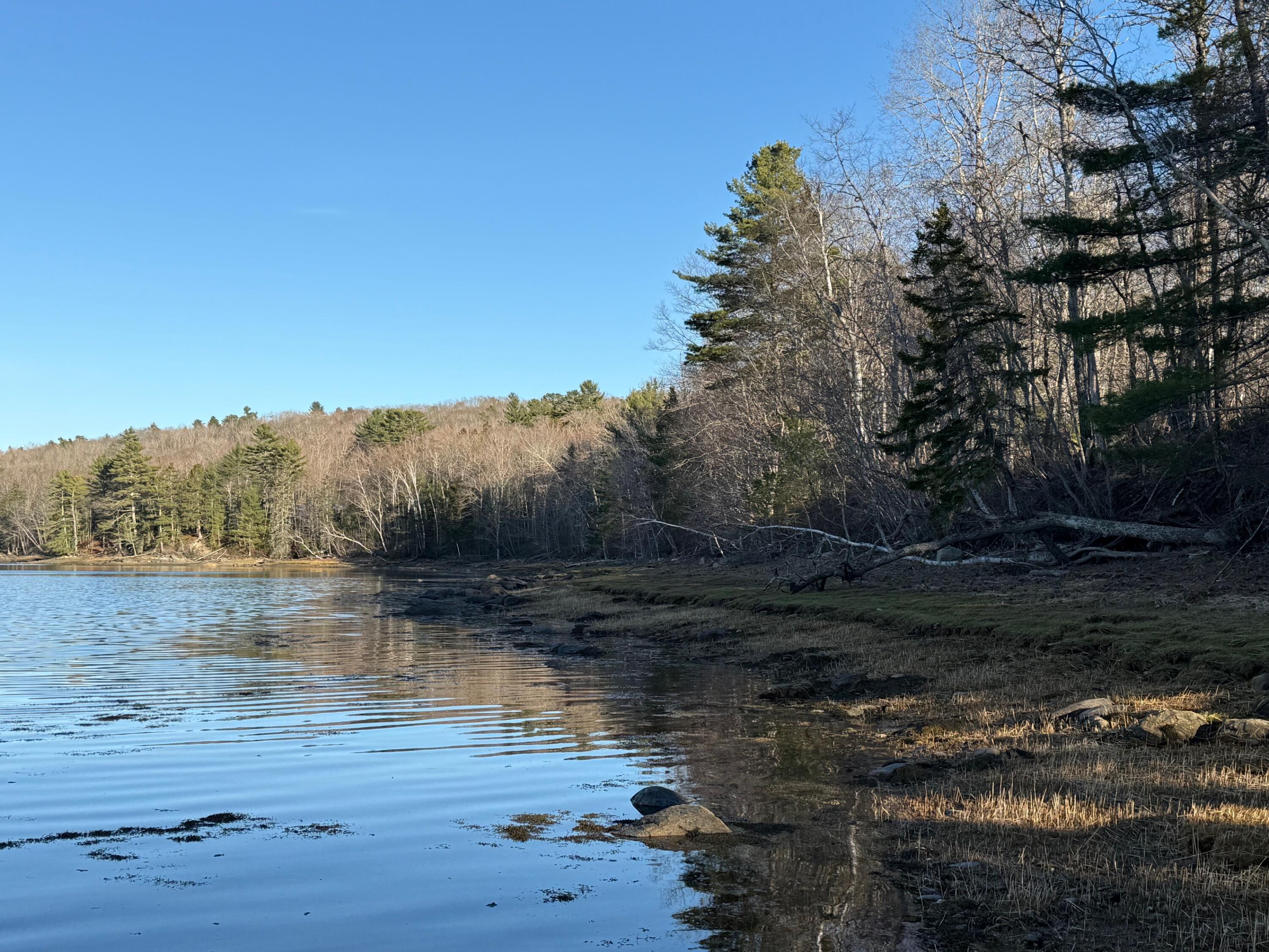 16 A Newbury Neck Road Surry, ME 04684 - Photo 14 of 19 IMG_3318