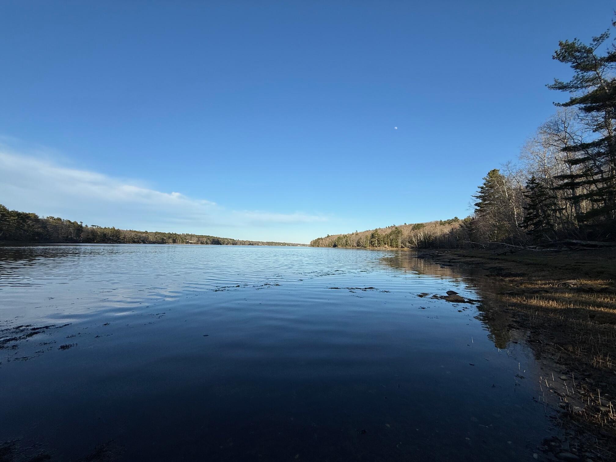 16 A Newbury Neck Road Surry, ME 04684 - Photo 16 of 19 IMG_3325