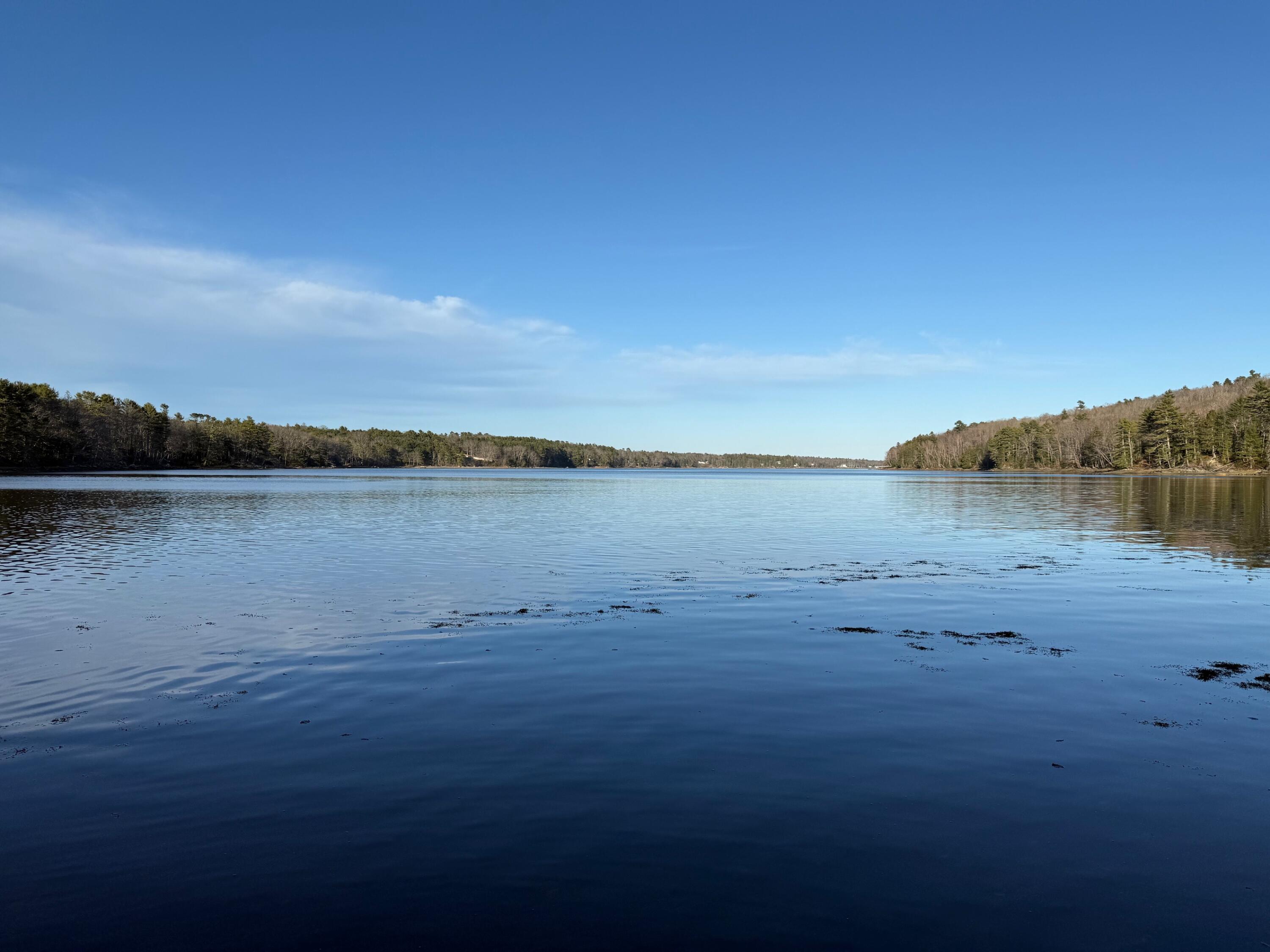 16 A Newbury Neck Road Surry, ME 04684 - Photo 18 of 19 IMG_3330