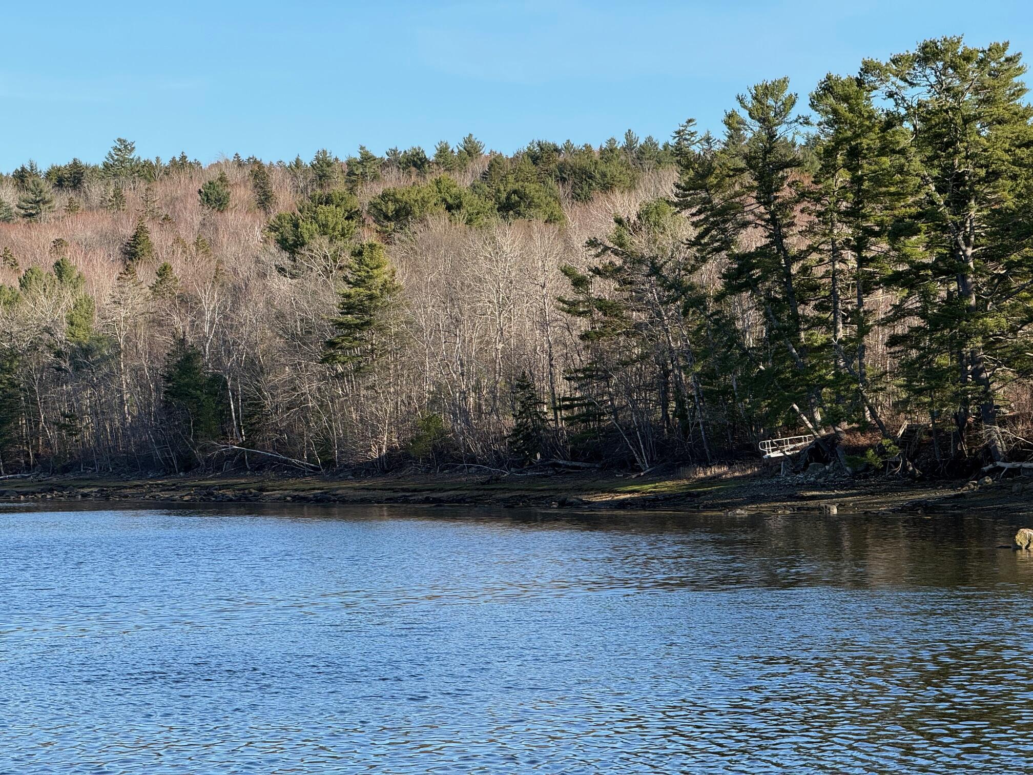 16 A Newbury Neck Road Surry, ME 04684 - Photo 3 of 19 IMG_3297
