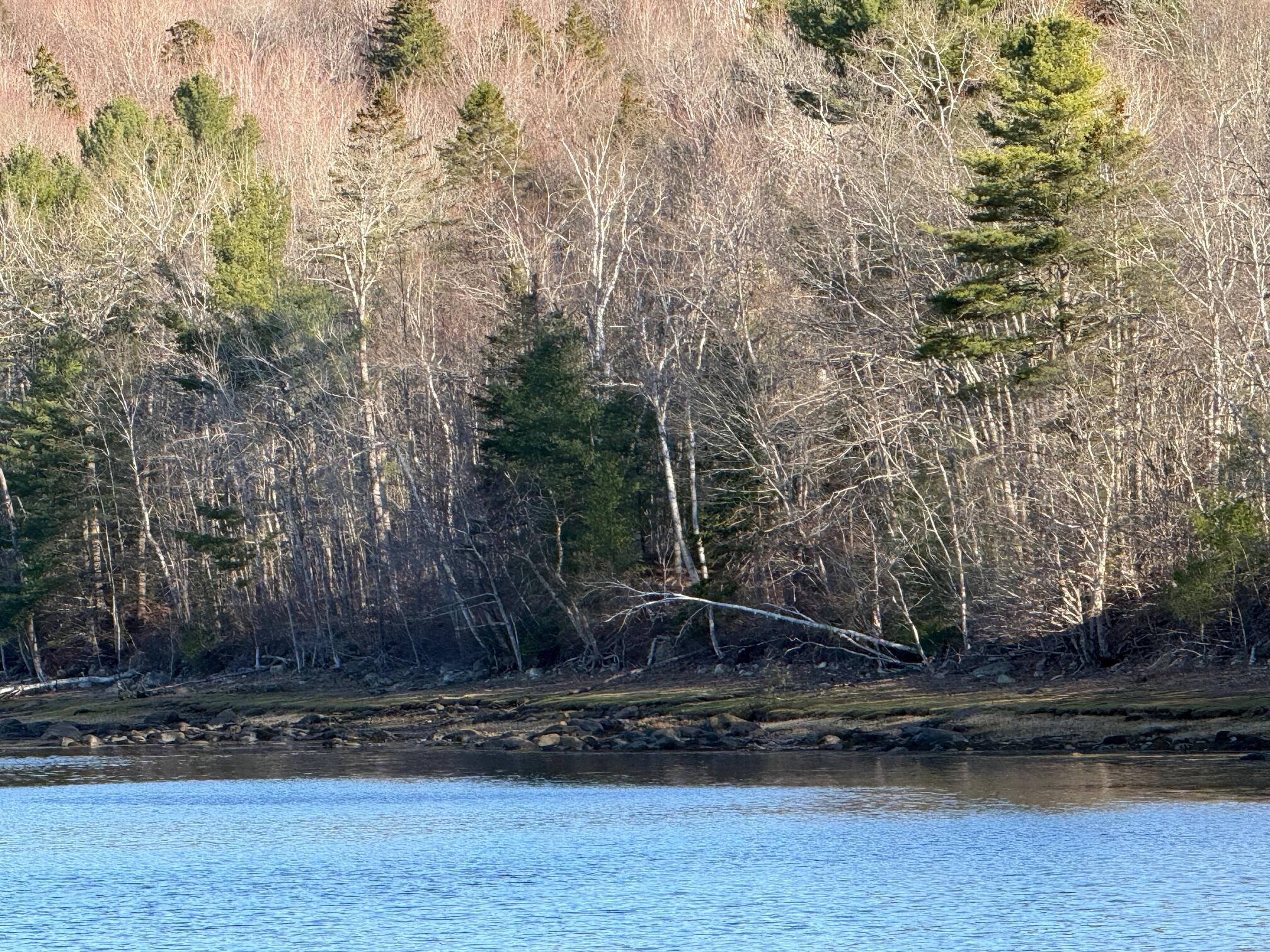 16 A Newbury Neck Road Surry, ME 04684 - Photo 4 of 19 IMG_3300
