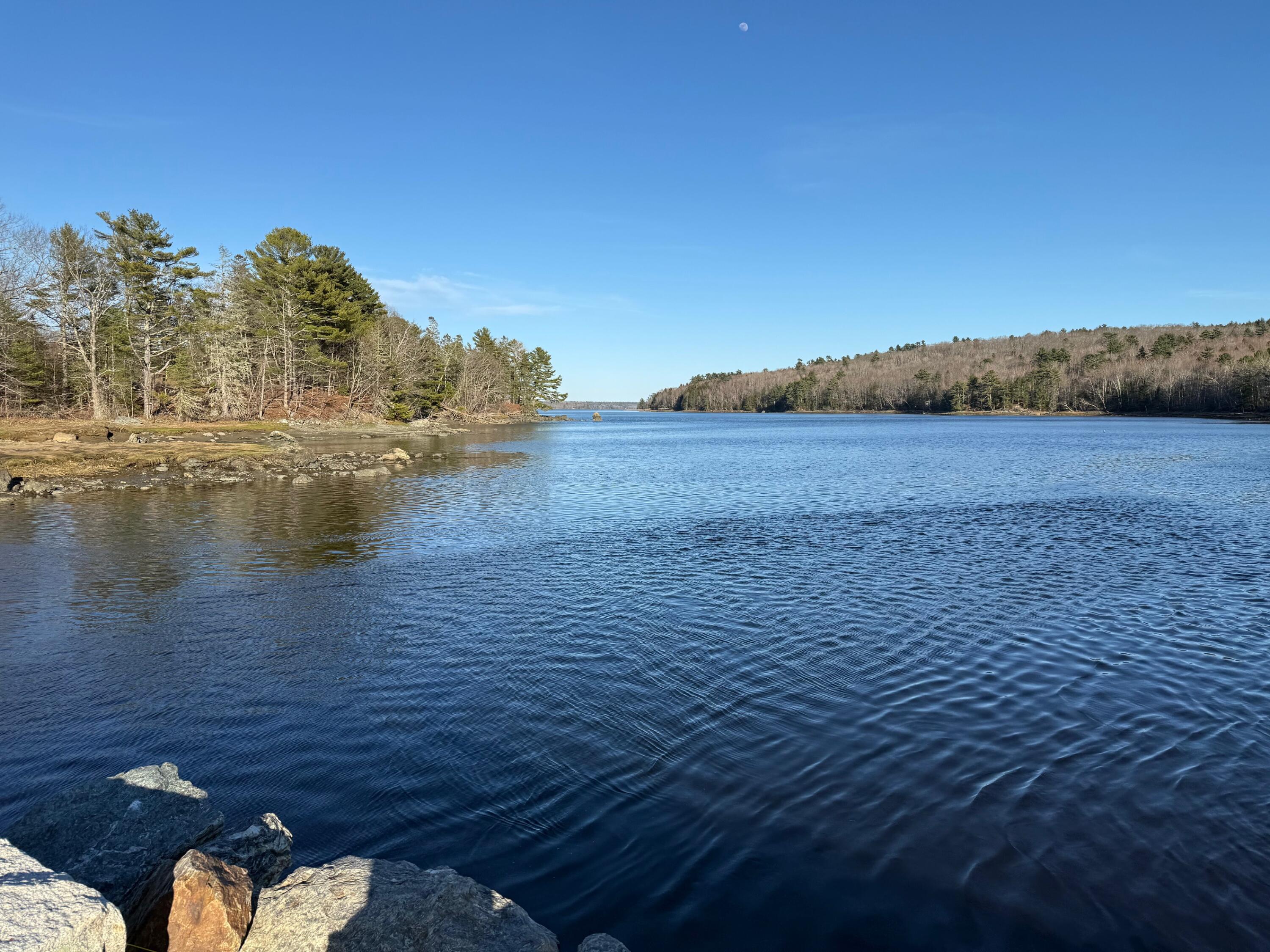 16 A Newbury Neck Road Surry, ME 04684 - Photo 5 of 19 IMG_3303