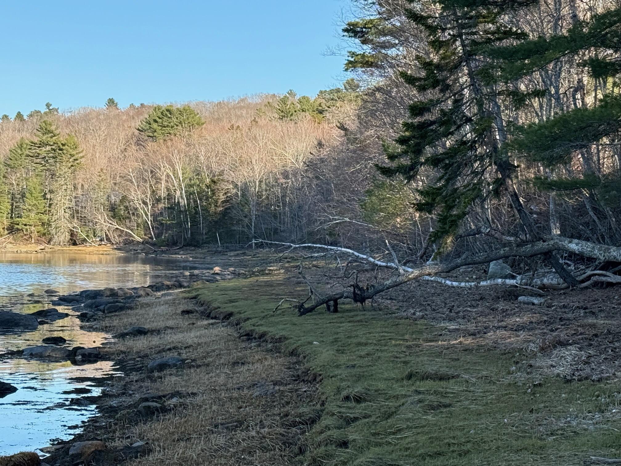 16 A Newbury Neck Road Surry, ME 04684 - Photo 8 of 19 IMG_3308