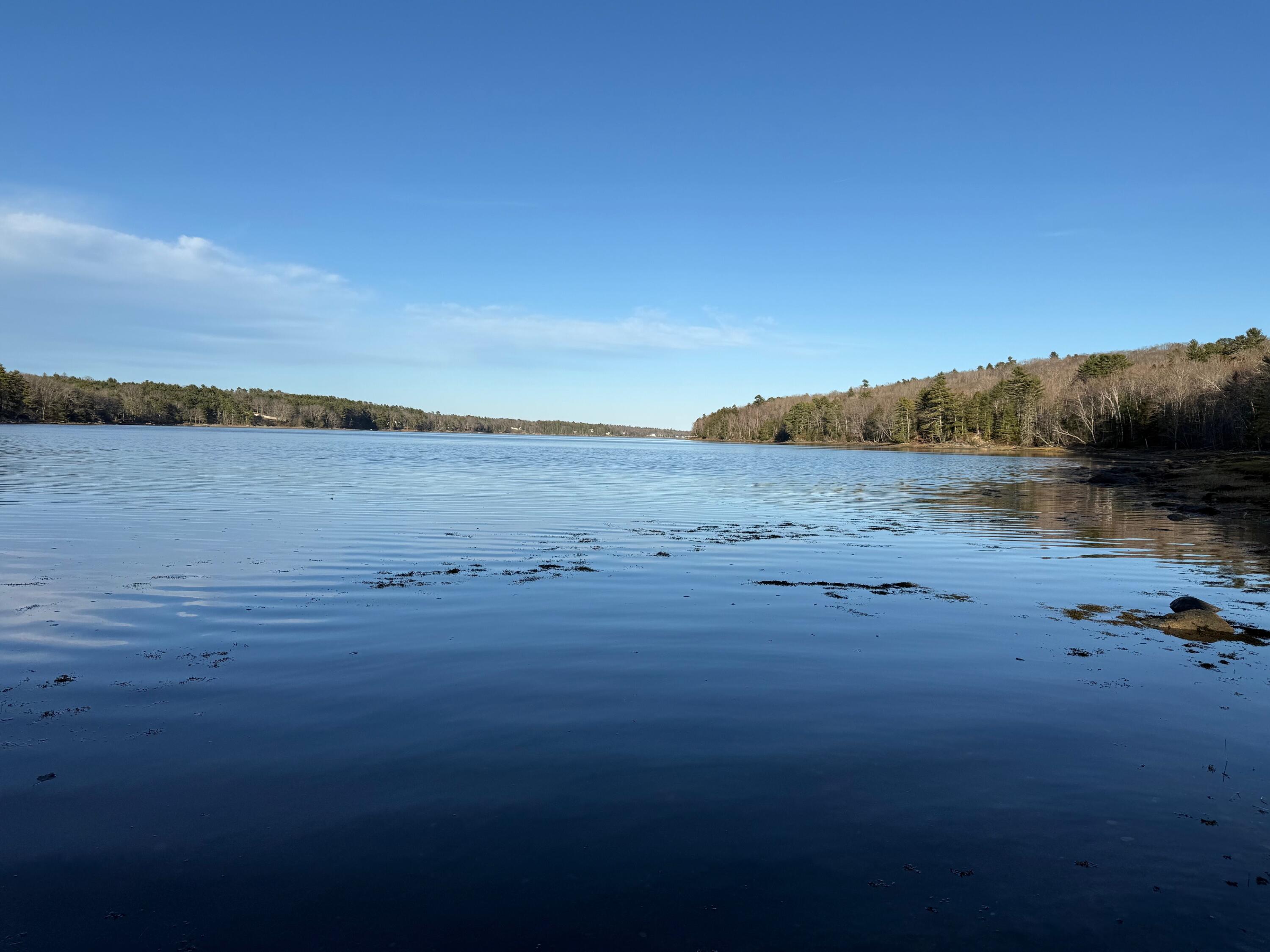 16 A Newbury Neck Road Surry, ME 04684 - Photo 10 of 19 IMG_3312