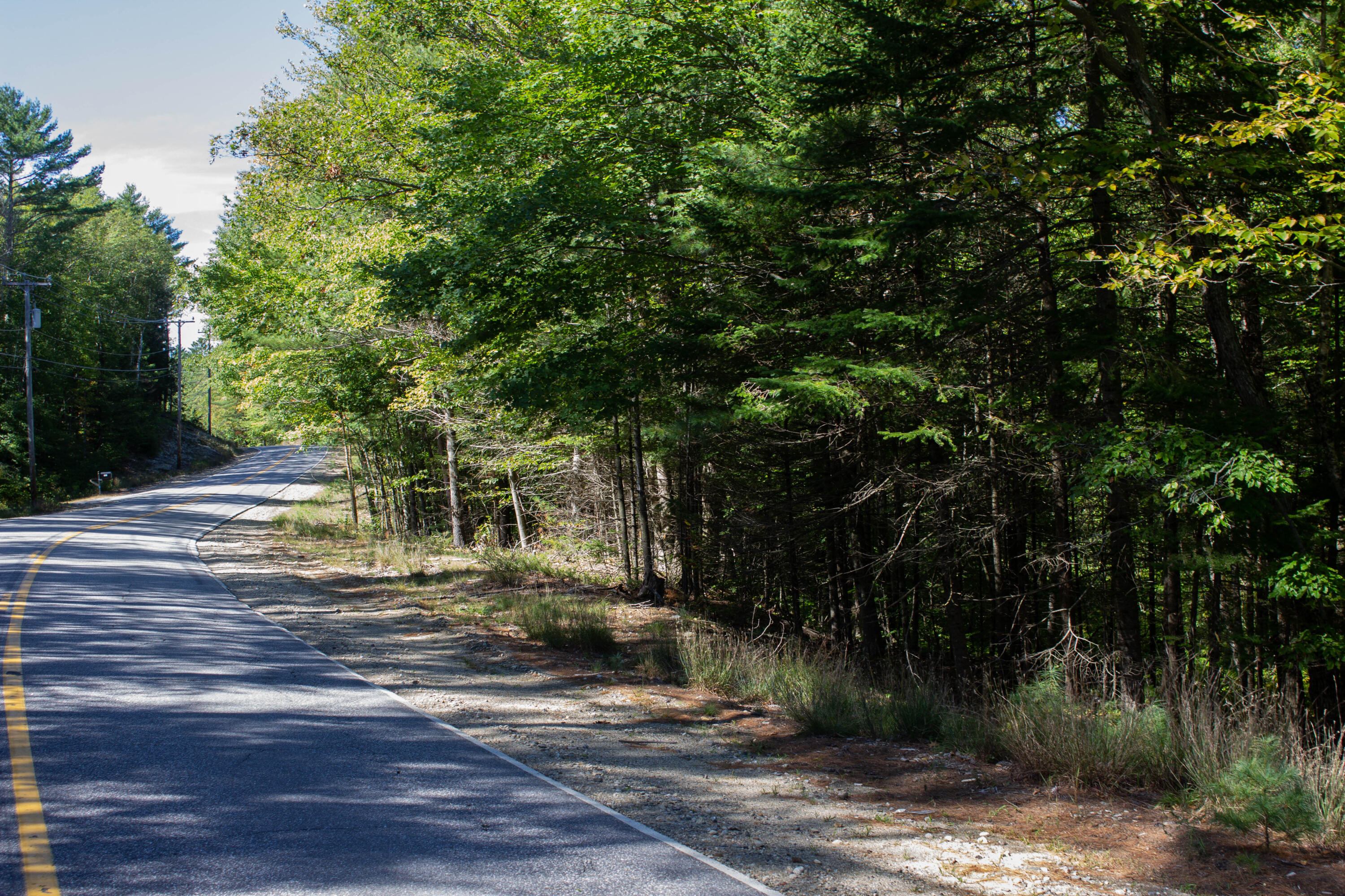 Lot 21 Canton Point Road Dixfield, ME 04224 - Photo 3 of 19 IMG_7900
