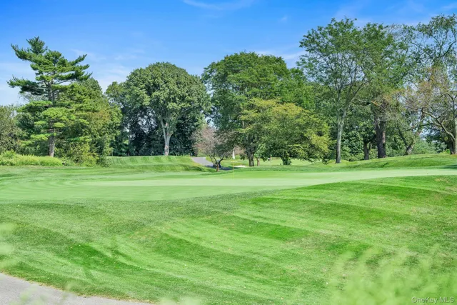 a view of a park with large trees