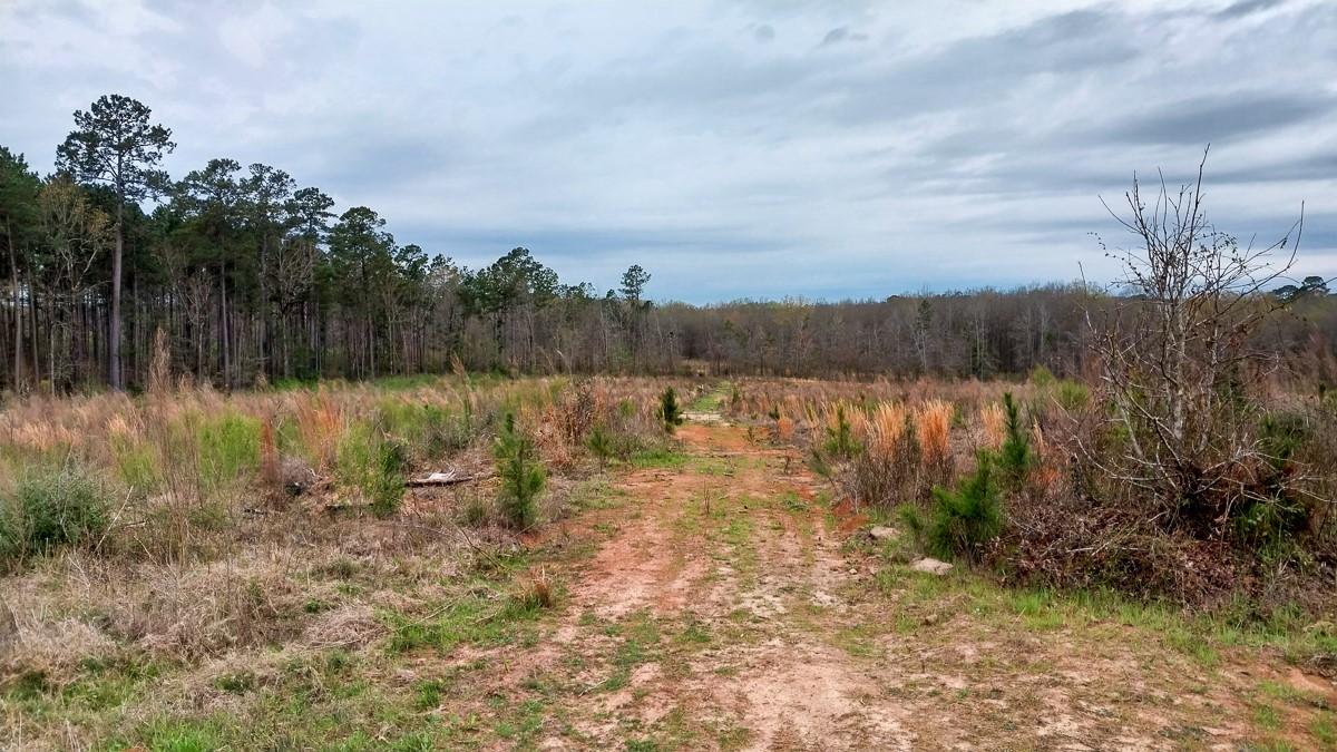 0 Fm 1857 Rusk, TX 75785 - Photo 12 of 24 a view of a lake with a city