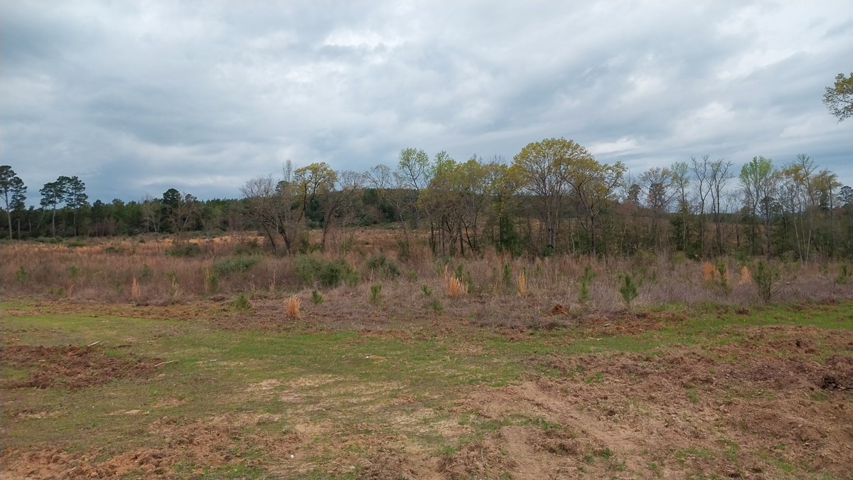 0 Fm 1857 Rusk, TX 75785 - Photo 18 of 24 a view of outdoor space and yard