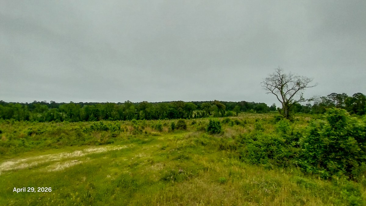 0 Fm 1857 Rusk, TX 75785 - Photo 21 of 24 a view of a green yard