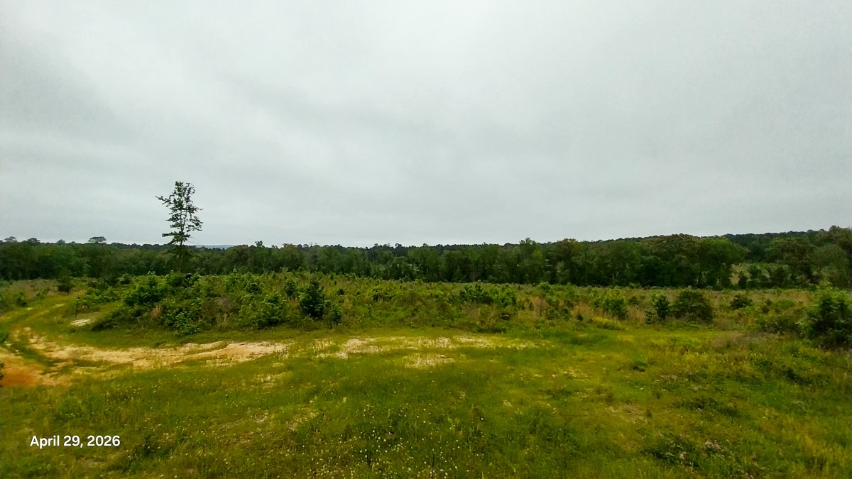 0 Fm 1857 Rusk, TX 75785 - Photo 22 of 24 a view of lake and mountain view