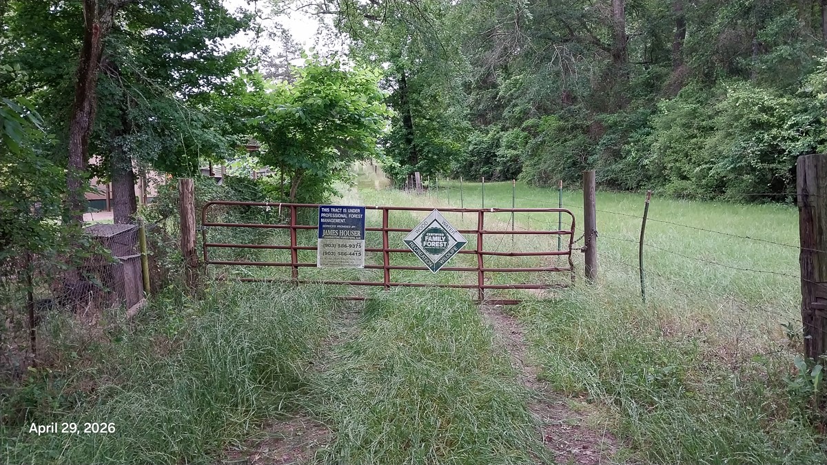 0 Fm 1857 Rusk, TX 75785 - Photo 3 of 24