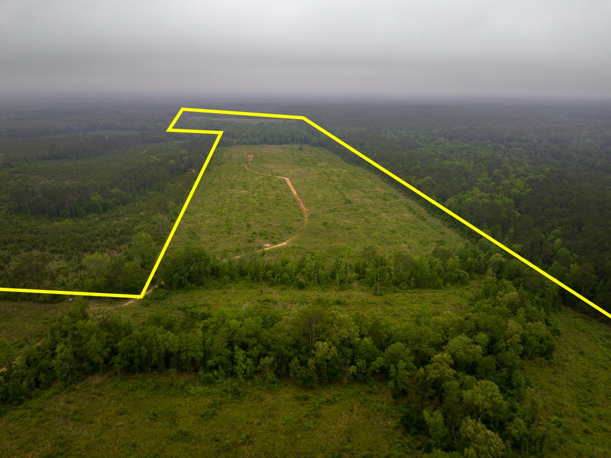 0 Fm 1857 Rusk, TX 75785 - Photo 4 of 24 a view of a yard