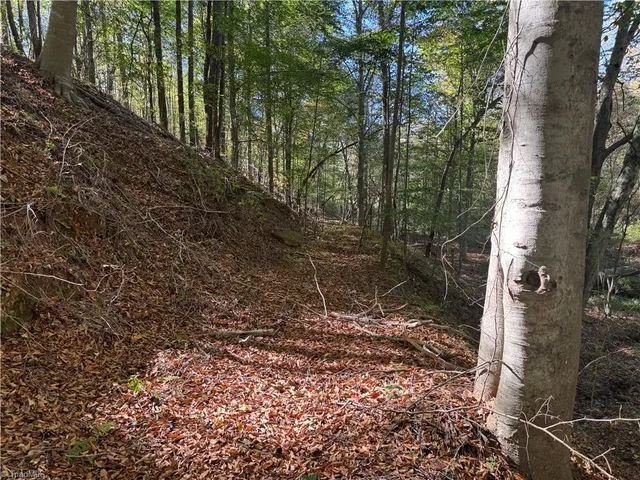 $379,000 | 9924 Highway 268, Elkin, NC 28621