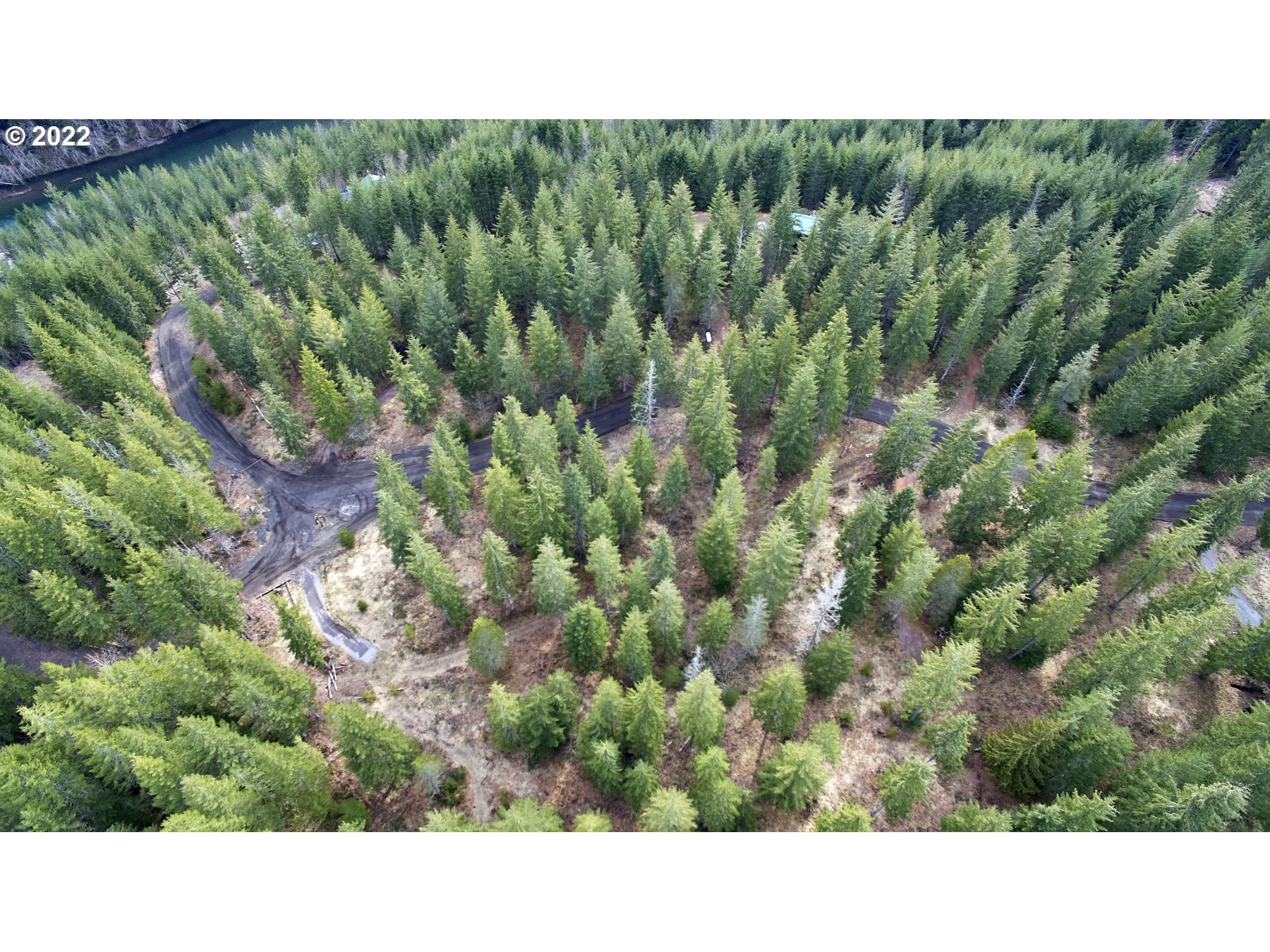 4 Loowit Lane Cougar, WA 98616 - Photo 11 of 12