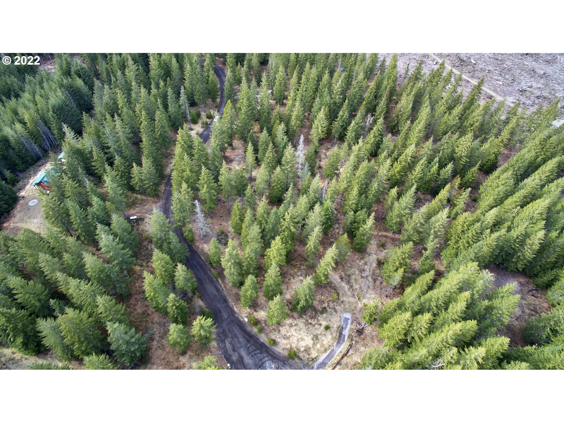 4 Loowit Lane Cougar, WA 98616 - Photo 12 of 12